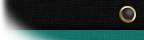 Warrant Officer